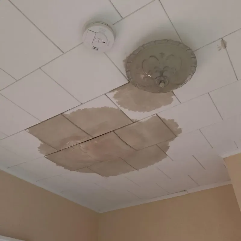 Ceiling Water Damage Repair in Hamilton, AL