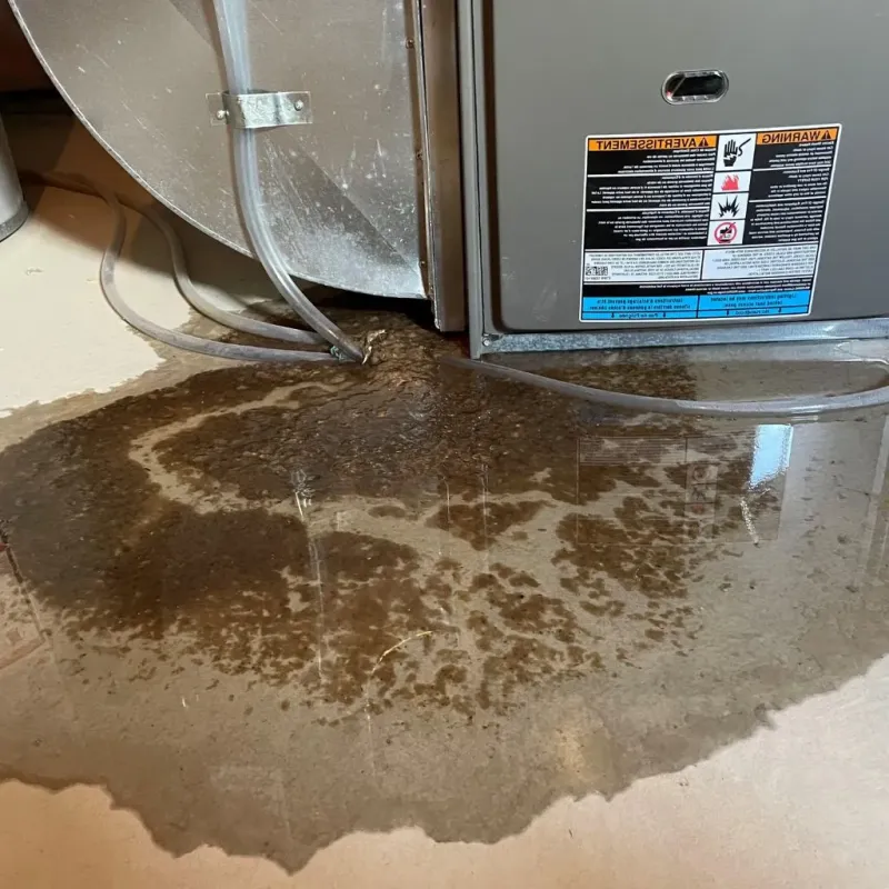 Pipe Burst and Leak Restoration in Hamilton, AL