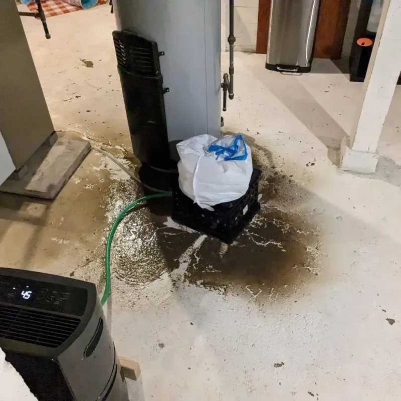 Sewage Backup Cleanup Service in Hamilton, AL
